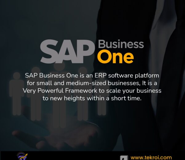 sap business ERP software
